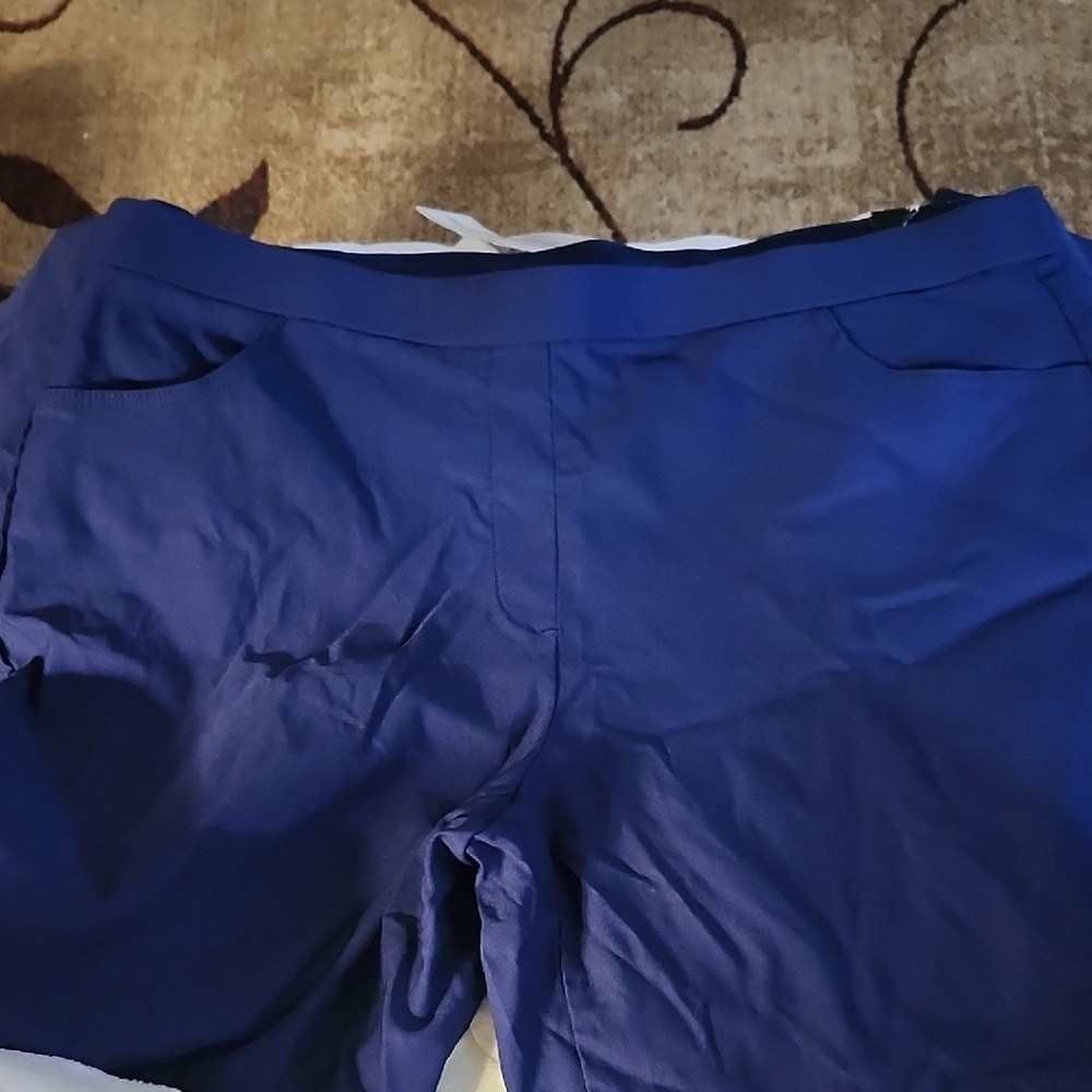 Allure Modern Fit Navy Pants